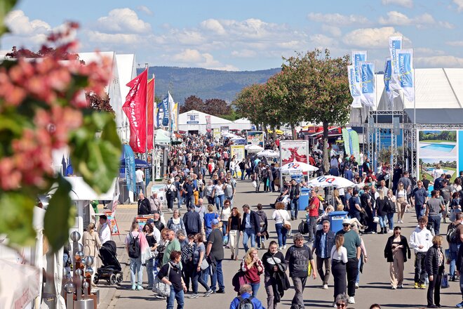 MyDoor auf dem Maimarkt in Mannheim